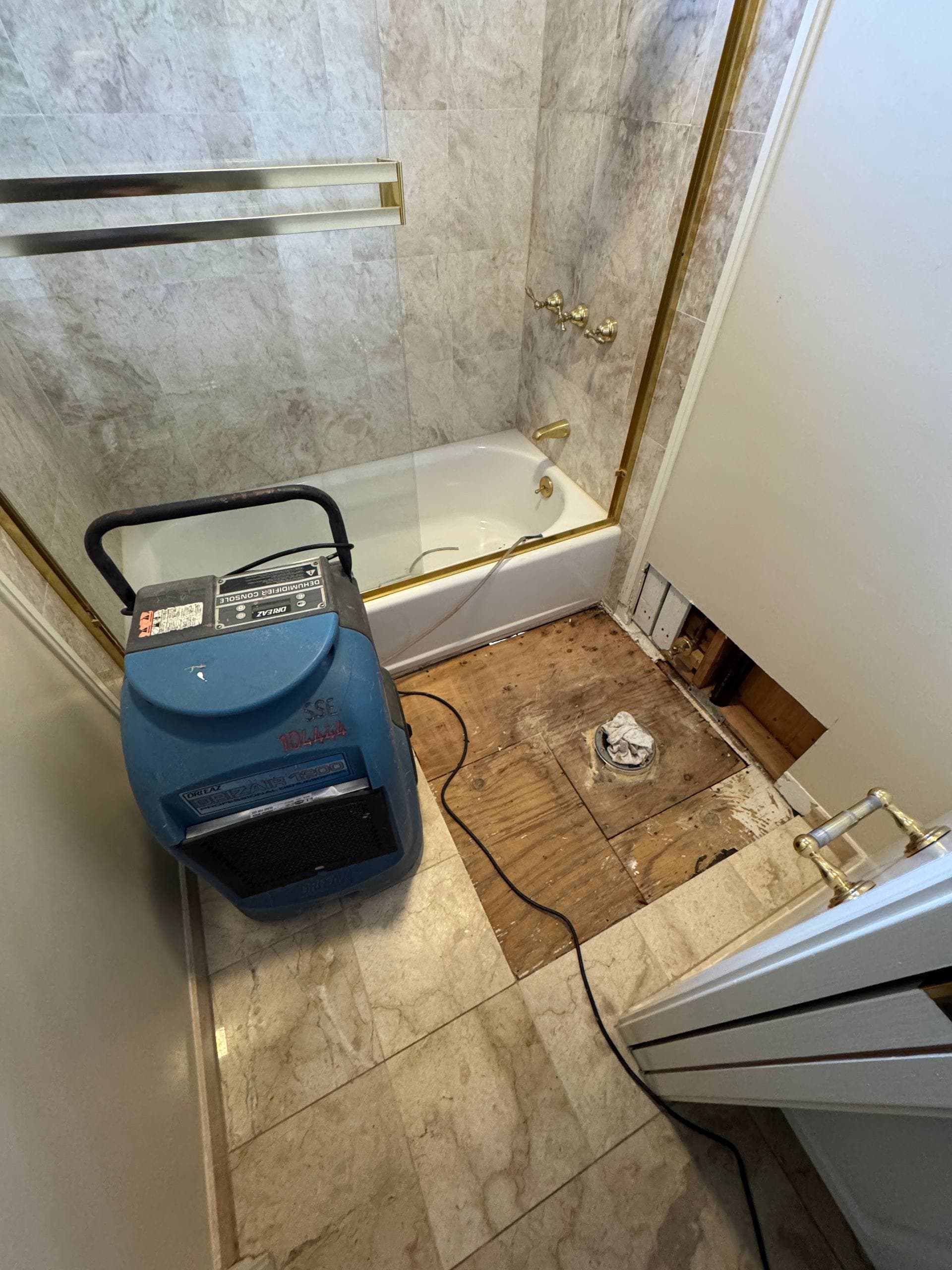 Sewage Cleanup