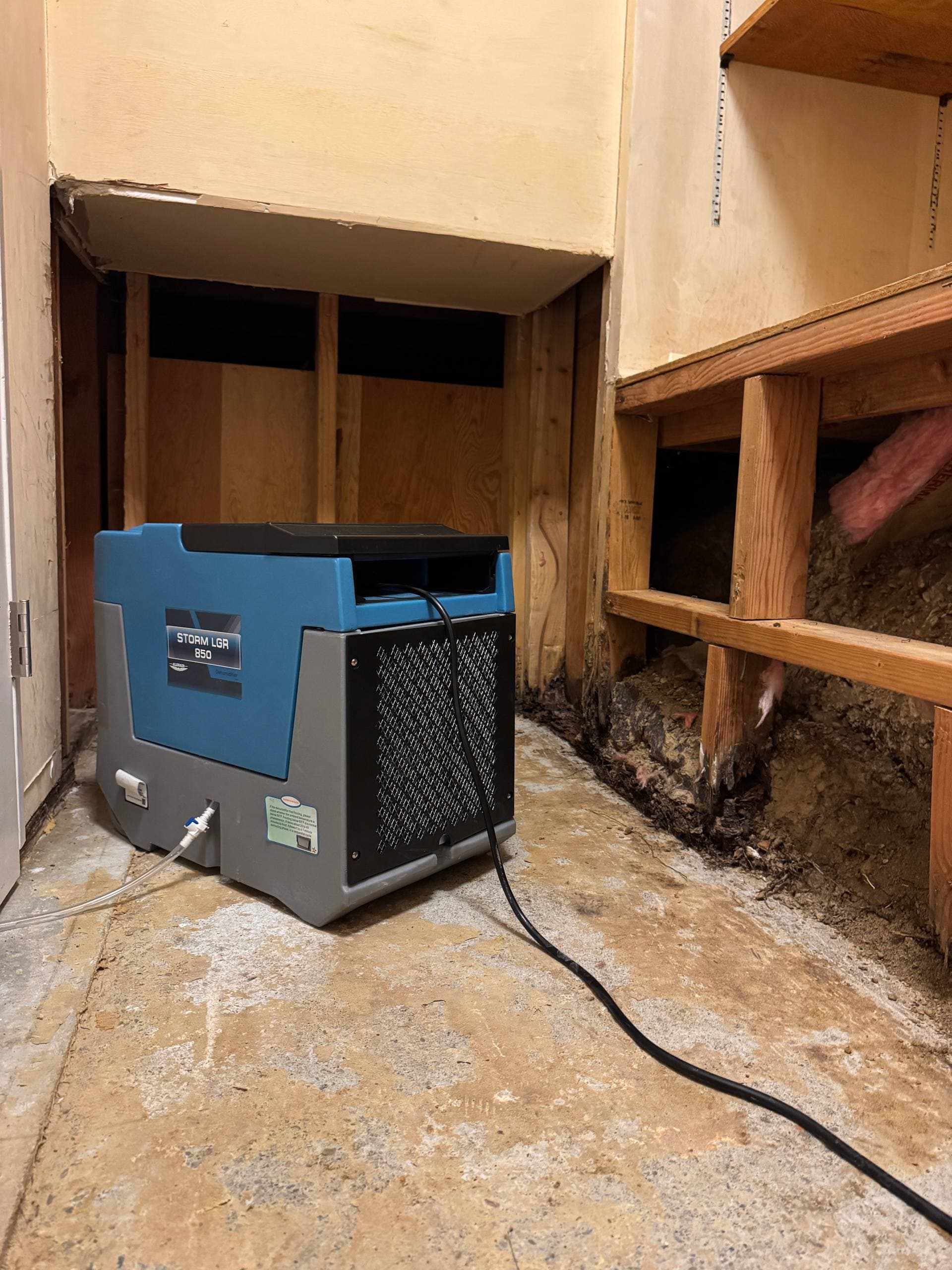 Structural Drying & Dehumidification