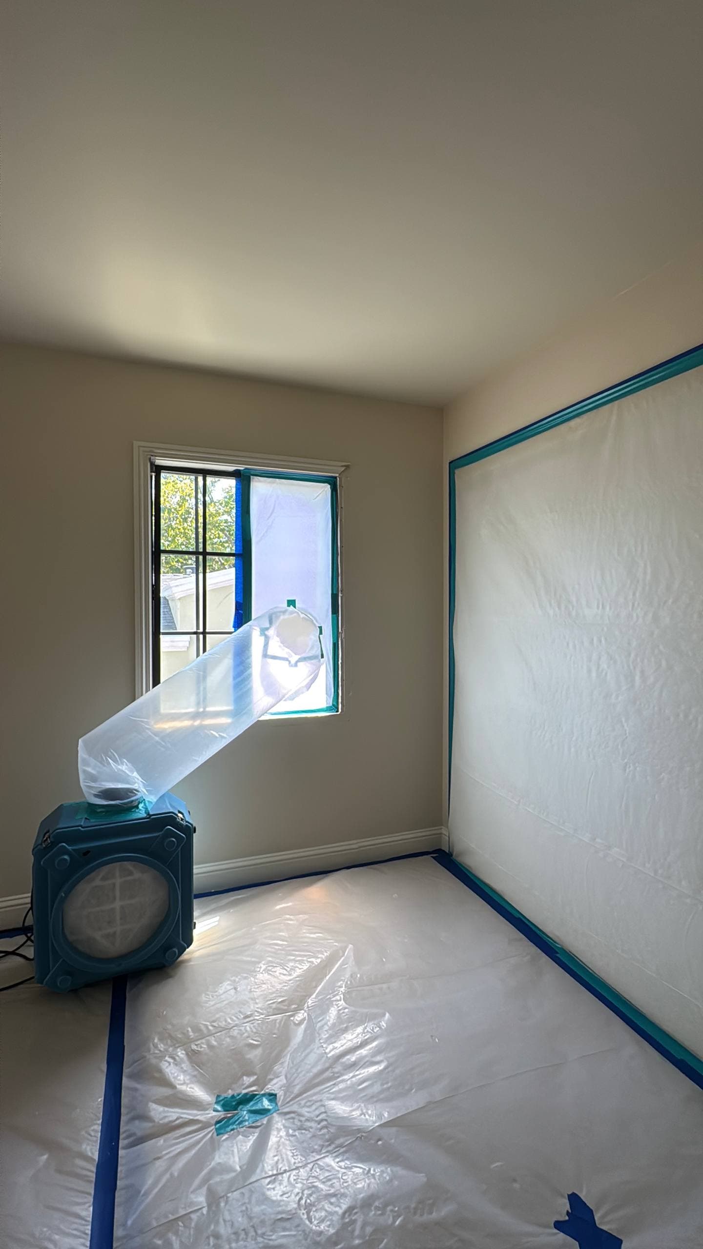 Mold Remediation